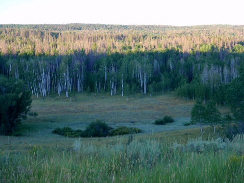 Looking due west from the same spot.